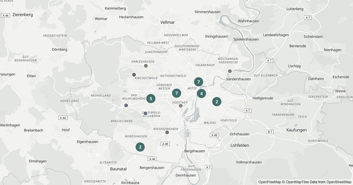 Karte mit 105 Polizeimeldungen aus Kassel aus den letzten 90 Tagen