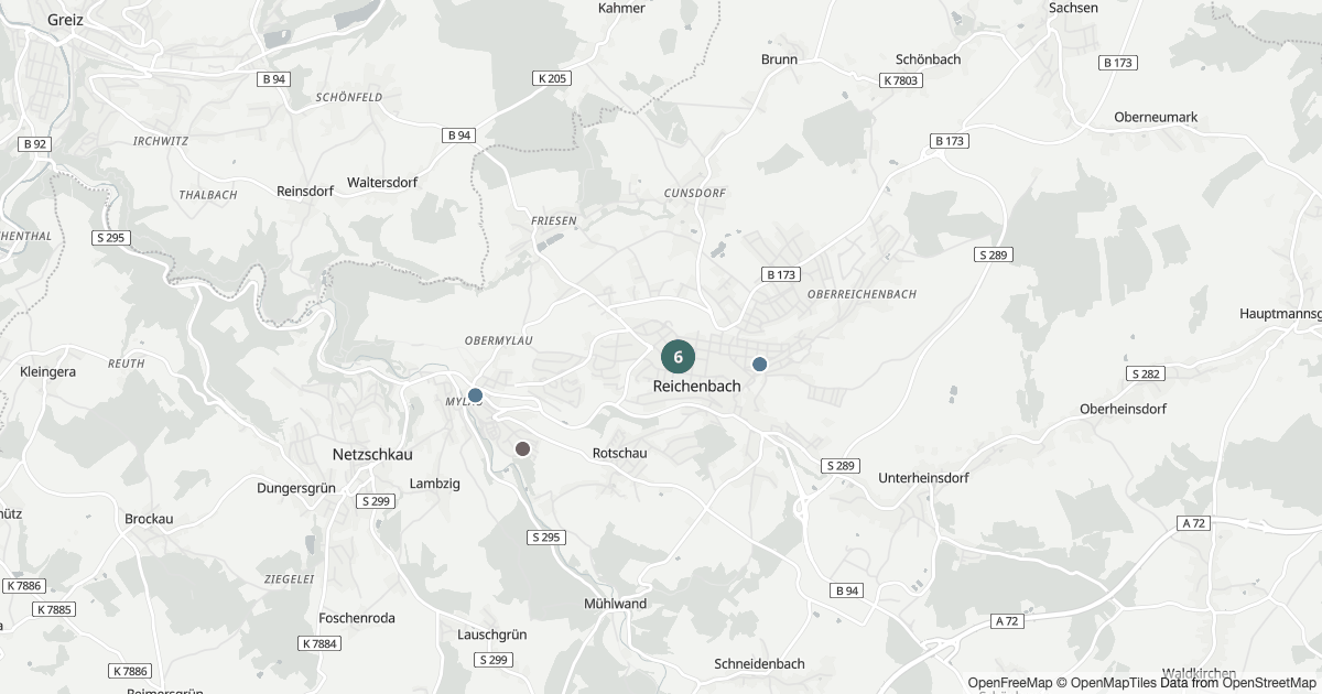 Karte mit 102 Polizeimeldungen aus Reichenbach aus den letzten zwölf Monaten